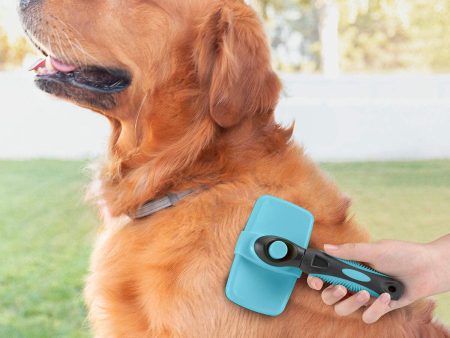 Brosse pour Animaux de Compagnie avec Dents Rétractables Groombot InnovaGoods For Cheap