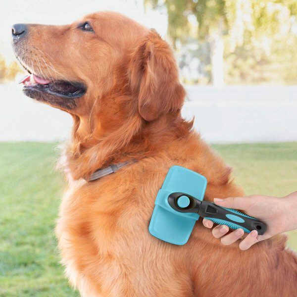 Brosse pour Animaux de Compagnie avec Dents Rétractables Groombot InnovaGoods For Cheap