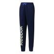 Pantalons de Survêtement pour Enfants Reebok B ES BL Hot on Sale