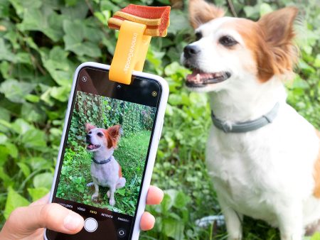 Clip pour Selfies pour Animaux Familiers Pefie InnovaGoods For Sale