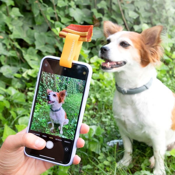 Clip pour Selfies pour Animaux Familiers Pefie InnovaGoods For Sale