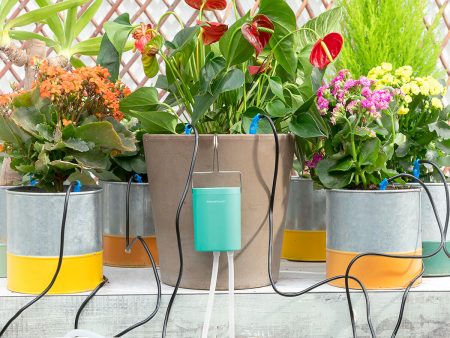 Système d’Arrosage Goutte-à-goutte Automatique pour Pots Regott InnovaGoods Online Sale