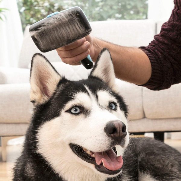 Brosse pour Animaux de Compagnie avec Dents Rétractables Groombot InnovaGoods For Cheap