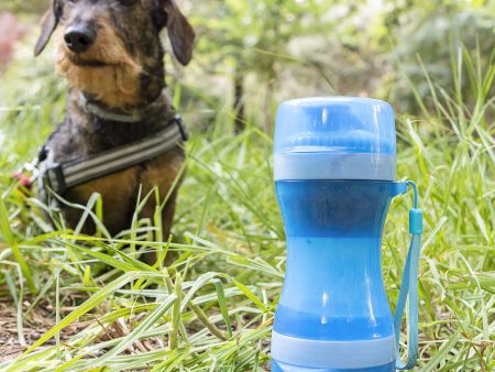 Bouteille avec Distributeur d Eau et d Aliments pour Animaux 2 en 1 Pettap InnovaGoods Hot on Sale