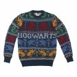 Pull unisex Harry Potter Bleu Cheap